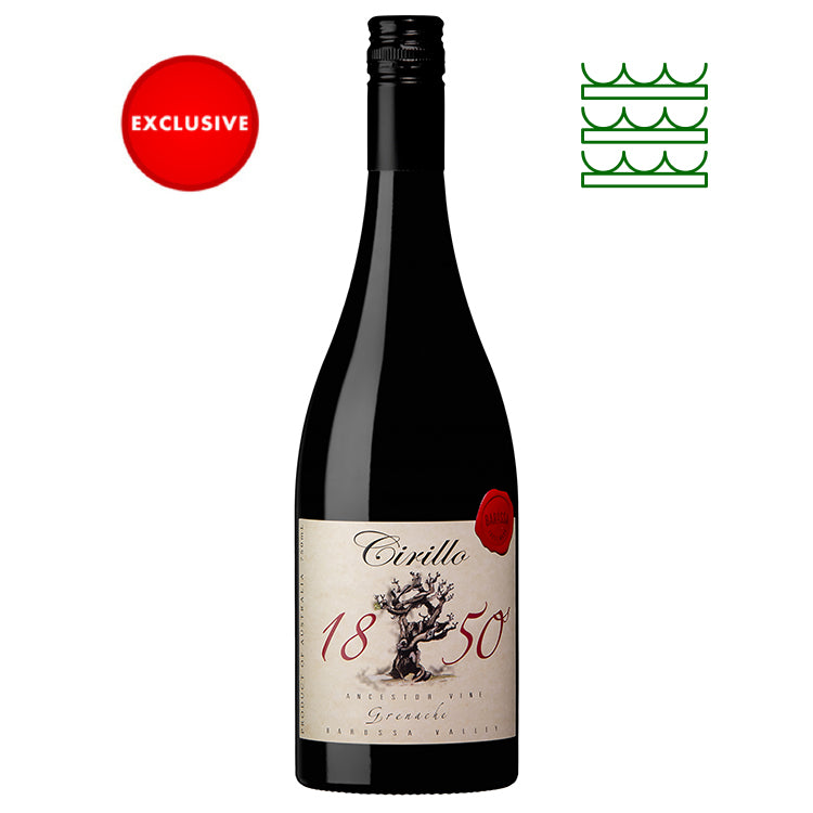 Cirillo 1850 Ancestor Vine Grenache